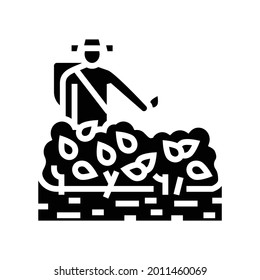 harvest tea glyph icon vector. harvest tea sign. isolated contour symbol black illustration