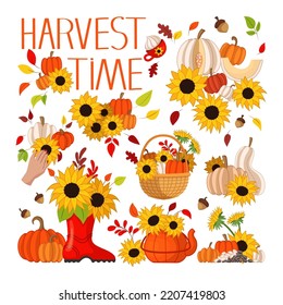 Harvest time elements vector illustrations set. Cartoon drawings of pumpkins in baskets, sunflowers in boot isolated on white background. Autumn or fall, harvest, Thanksgiving concept