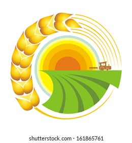 Harvest. Vector illustration. 