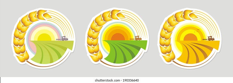 Harvest. Vector illustration. 