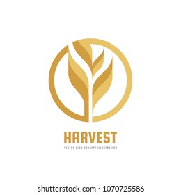 Harvest - vector logo template creative illustration. Cereal organic sign. Ecology symbol. Bio nature insignia. Agriculture concept. Design element.