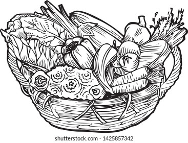 Harvest of vegetables in the basket. Hand drawn vector illustration. Engraved style.