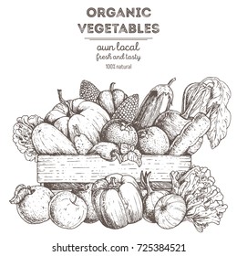 Harvest of vegetables in the basket. Hand drawn vector illustration. Engraved style.