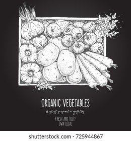 Cosecha de verduras en la caja.  Dibujado a mano Ilustración vectorial en blanco y negro. Estilo grabado. Vista superior