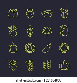 Harvest, vegetables, farming icons set, linear