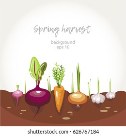 harvest vegetables garden bed background 