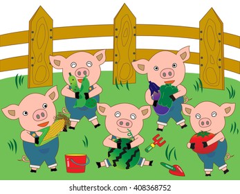 The harvest of vegetables. The pigs work on a farm.