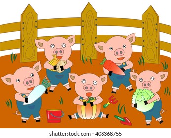 The harvest of vegetables. The pigs work on a farm.