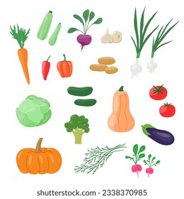Erntegemüse einzeln auf Weiß. Frisches veganisches Essen. Vegetarische Erzeugnisse, gesunde Kochzutaten