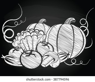 Harvest vegetables vector illustration