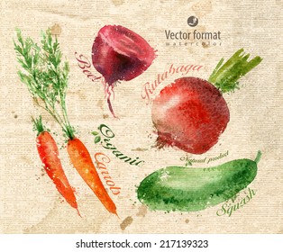 Harvest. Watercolor. Vector format