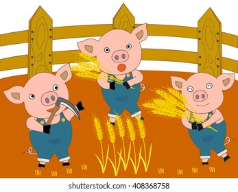 Harvest of wheat. The pigs work on a farm.