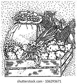 harvested vegetable