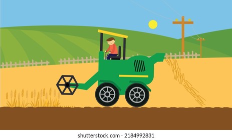 Harvester collects wheat in the field