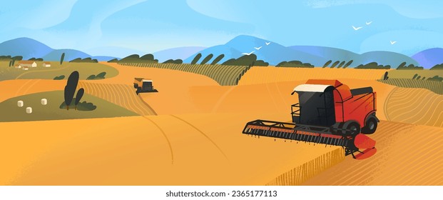 Harvester machinery work in the farm field. Harvesting, haymaking season on farmland, agriculture land. Combine gather grain, harvest wheat. Farming landscape, panoramic view. Flat vector illustration