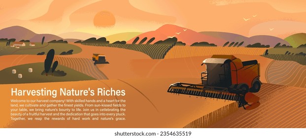 Harvester machinery works in the field. Harvesting season on farm, combine gather grain, harvest wheat, cut corn. Agriculture production, farming landscape. Farmland nature flat vector illustration