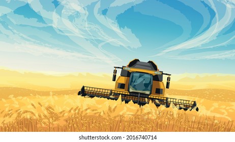 harvester on golden wheat field blue sky