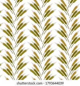 Harvesting and agriculture, ripe wheat spikelets seamless pattern. Farming and caring for crops, rural organic ingredients, production in farm. Healthy dieting and nutrition, vector in flat style