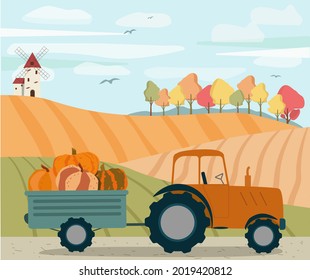 Harvesting, autumn, rural landscape, fields and a mill.  A harvesting machine, a tractor, with a harvest, a trailer with pumpkins.  Vector illustration.