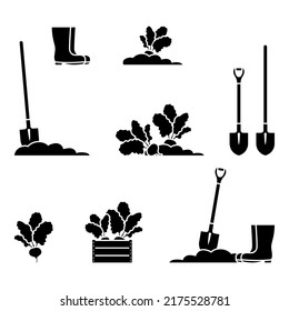 Harvesting beet root vegetable vector illustration set. Gardening, farming, shovel, spade, gum boots icon pictogram