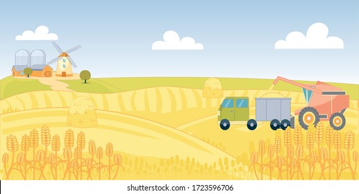 Harvesting by Special Machine on Wheat Field. Harvester Collect Grain into Back Truck, Small Haystack on Field. In Distance Stand Mill and Storage for Flour and Grain. There Tree by Road to Farm.