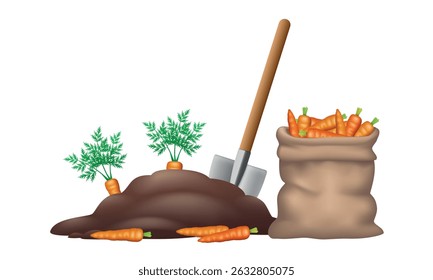 Harvesting carrots. Shovel, garden bed and bag with carrots. Vector illustration