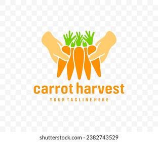 Harvesting carrots, vegetable, agriculture, food and meal, graphic design. Harvest, plant, nature, leaf, leaves, nourishment and grocery, vector design and illustration