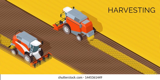 Harvesting concept, combine, agriculture machine on field, cut grain crop, processing of grain, vector illustration