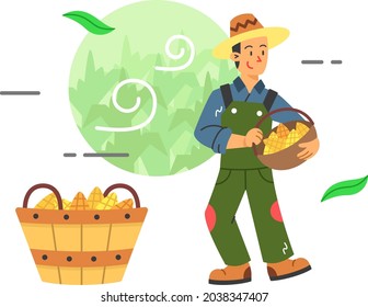 Harvesting Corn Flat Illustration for Autumn Theme