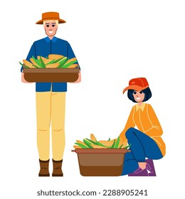 harvesting corn vector. harvest field, farm agriculture, grain sunset, crop machine, machinery maize harvesting corn character. people flat cartoon illustration