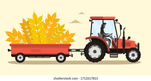 Harvesting Crops Vector Illustration. Tractor with Ear of Wheats on Trailer and Driver Silhouette. Heavy Agricultural Machinery Cartoon.