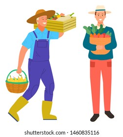 Harvesting farming people vector, isolated man carrying wooden box with harvested production. Farmer male holding basket with carrots. Pears and aubergine tomato. Flat cartoon