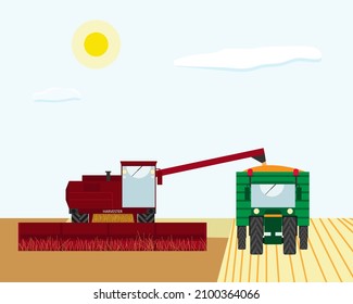 Harvesting from the fields. The work of the combine and the tractor to collect wheat