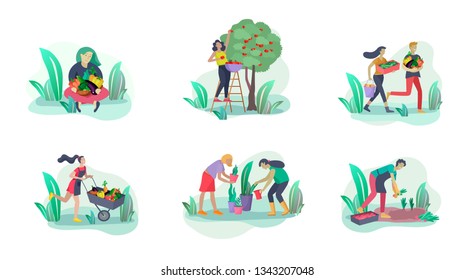 Harvesting and gardening people doing farming and garden job, pick berries, remove weeds, watering, planting, growing and transplant sprouts, lay ripe vegetables to box. Reaping crop concept