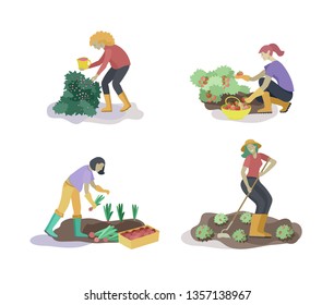 Harvesting and gardening people doing farming and garden job, pick berries, remove weeds, watering, planting, growing and transplant sprouts, lay ripe vegetables to box. Reaping crop concept