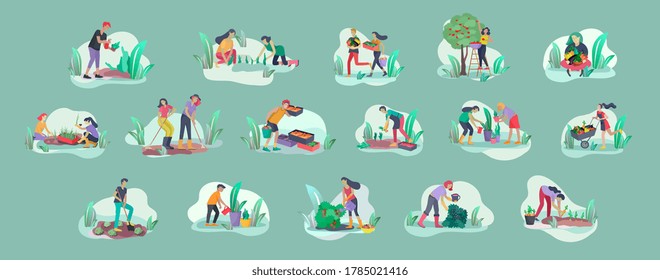 Harvesting and gardening people doing farming and garden job, pick berries, remove weeds, watering, planting, growing and transplant sprouts, lay ripe vegetables to box. Reaping crop concept
