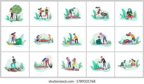 Harvesting and gardening people doing farming and garden job, pick berries, remove weeds, watering, planting, growing and transplant sprouts, lay ripe vegetables to box. Reaping crop concept