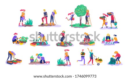 Similar – Image, Stock Photo Picking ripe tomatoes by hand in basket.