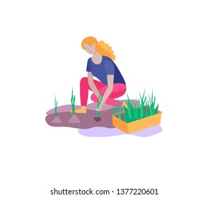 Harvesting and gardening people woman doing farming and garden job, remove weeds, watering, planting, growing and transplant sprouts. Spring concept