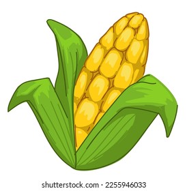 Harvesting and growth of biological crops and grains. Isolated icon of sweet corn, maze with seeds. Nutrition and dieting, eating healthy and useful food, traditional meal of maya. Vector in flat