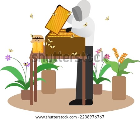 Harvesting Honey vector illustration, worker harvesting honey on an apiary. honey farm from bees, pick honeycombs from bee apiary, beekeeping. safety clothes for worker, the food and beverage industry
