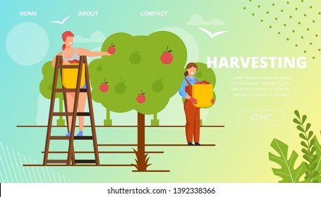 Harvesting Horticultural Crops Landing Page. Laughing Women Harvest Apples with Joy. Girl Stands on Stairs Near Tree and Collects Fruit. Woman in Basket Holding Basket Full Apples.