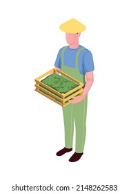 Harvesting isometric icon with picker holding box with plucked tea leaves 3d vector illustration