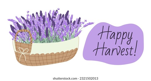 Cosechando lavanda. Cesta con lavanda. Flores de lavanda. Concept Happy Harvest. Ilustración para carteles, afiches, tarjetas.