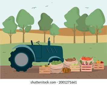 A harvesting machine, bags and wooden boxes with a harvest of vegetables and fruits.  Rural landscape.  Autumn harvest. Vector illustration.