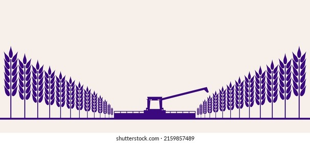 Harvesting machine working in the field. Combine harvester agricultural machine ride in the field of ripe wheat.