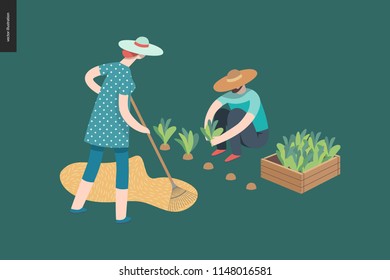 Harvesting people, fall - flat vector concept illustration of a man wearing straw hat gathering in ripe salad to the wooden box and a woman raking hay into the stack. Reaping the crop concept.