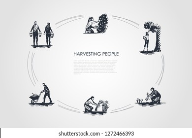 Harvesting people - people picking fruits and carrots, binding grass, carrying and transporting harvest vector concept set. Hand drawn sketch isolated illustration