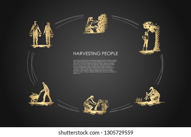 Harvesting people - people picking fruits and carrots, binding grass, carrying and transporting harvest vector concept set. Hand drawn sketch isolated illustration