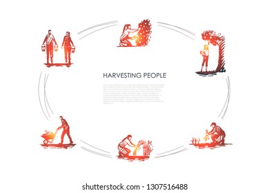 Harvesting people - people picking fruits and carrots, binding grass, carrying and transporting harvest vector concept set. Hand drawn sketch isolated illustration